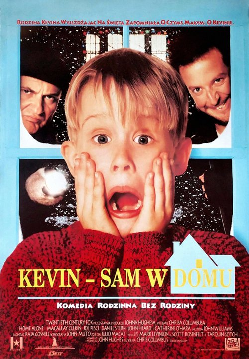 kevin-sam-w-domu-jorku.jpg