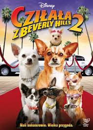 czila-z-beverly-hills-2.jpg