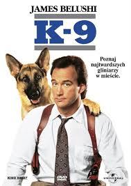 K9-goraczka.jpg
