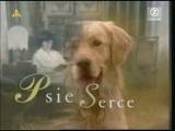 psie-serce.jpg