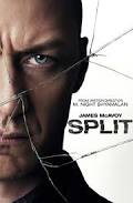 split-hawk.jpg
