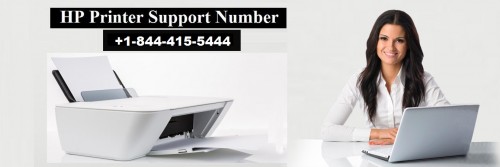 HP-Customer-Support.jpg