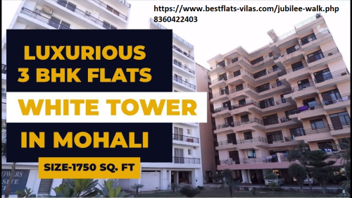 luxurious-3bhk-flats.png