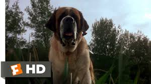 cujo.jpg